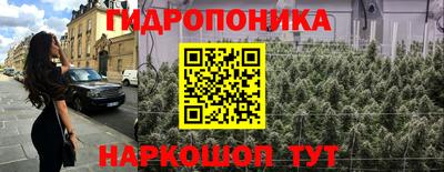 Альфа ПВП Славянск-на-Кубани