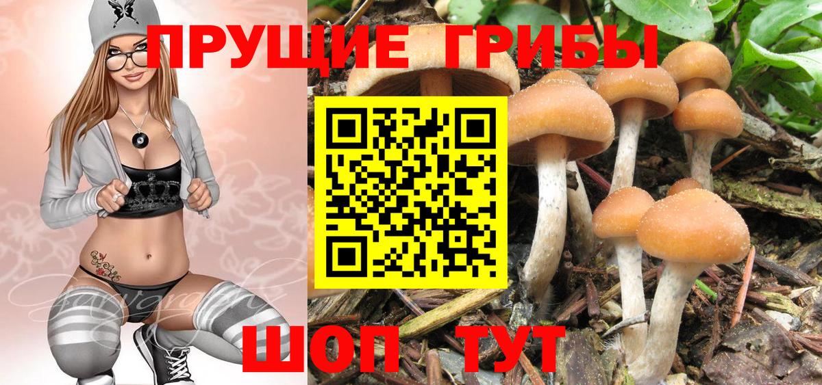 Псилоцибиновые грибы ЛСД Саратов