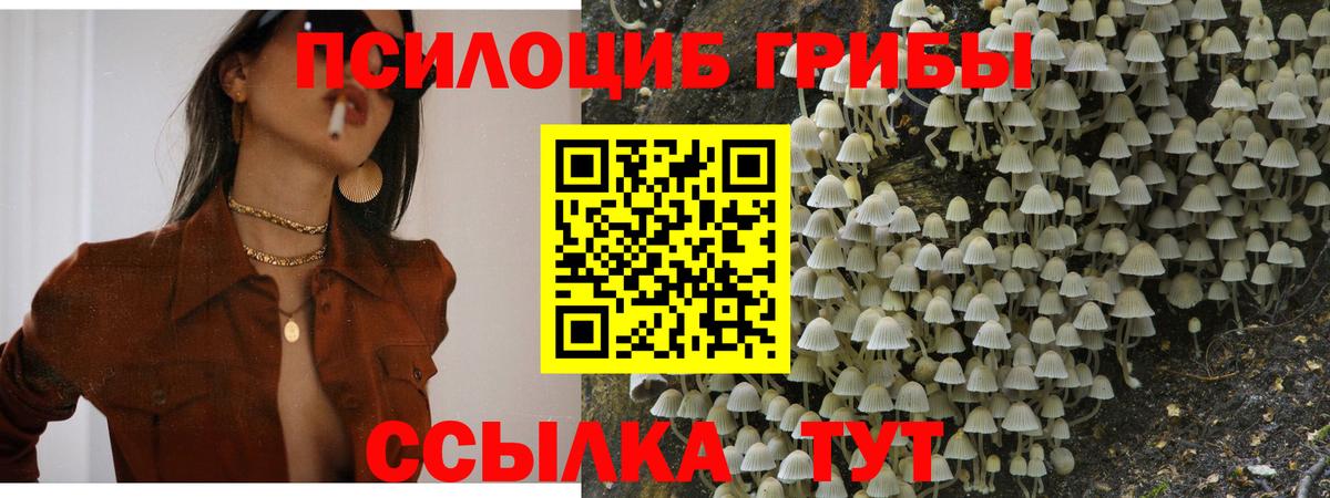 Саратов  Галлюциногенные грибы мицелий  Вход с VPN 